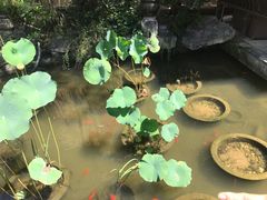 -聚缘堂·海鲜私房菜(松岭路店)
