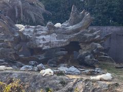 -杭州野生动物世界