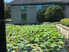 -绍兴鉴湖君澜大酒店