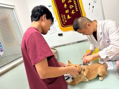 -宠福鑫康馨动物医院·骨科·眼科