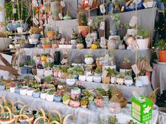 -循礼门鲜花花市(武汉循礼门店)