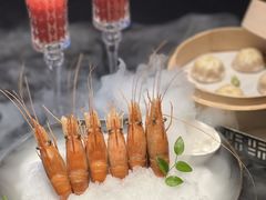 -桂满陇·海市蜃楼·黑金(国金店)