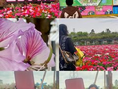 -盈香心动乐园