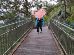 -千岛湖天屿景区