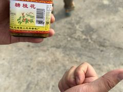 -苏州市吴中区光福窑上花果蜜饯厂