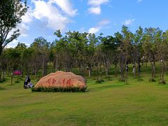 -牛岗山公园