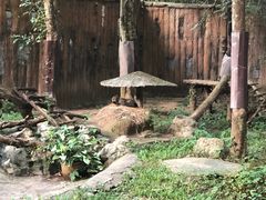 -清迈夜间动物园