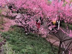 -重庆彩云湖湿地公园