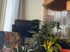 -Thai Basil罗勒叶泰式餐厅(时代天街店)