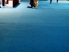 android_upload_pic-东浩兰生上海世博展览馆