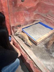 -Zoolung Zoolung动物主题公园(海信广场店)