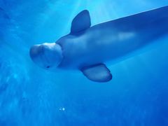 -多彩贵州城极地海洋世界