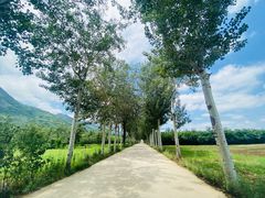 -秦岭风景区