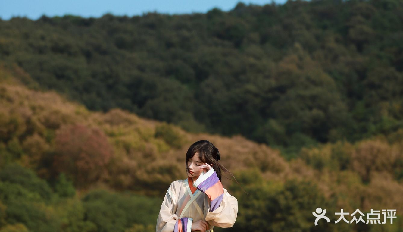 江浙沪的小京都｜无锡灵山小镇拈花湾梵天花海拍照功略