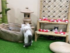 -白兔子密室(长寿路店)