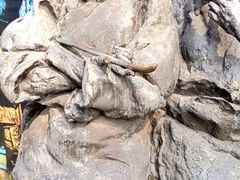 -柯岩风景区
