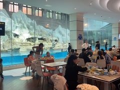 -帝企鹅自助餐厅•儿童岛•真企鹅(长隆企鹅酒店)