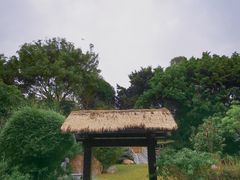 -深圳国际园林花卉博览园