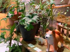 -柴务处·柴犬主题狗咖