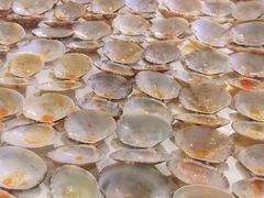 -何记花甲(海岸城旗舰店)