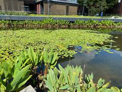 -星巴克(深圳前海企业公馆店)