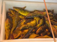 -江湖水乡铁锅炖魚(周庄嘉园店)