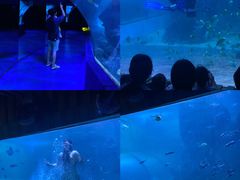 -左海海底世界