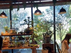 -自由生长植物工作室(深港花卉中心店)