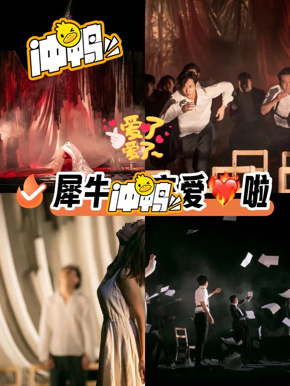 恋爱的犀牛视频