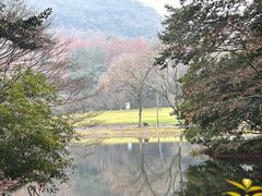 -中国茶叶博物馆(双峰馆区)