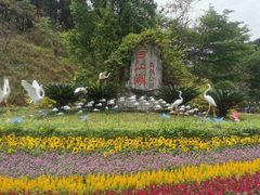 -广州白江湖森林公园