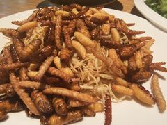 -缘生态云南菜·野生菌庭院餐厅(华侨城店)
