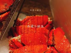 帝王蟹-咖啡苑自助餐厅·中国大饭店