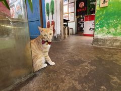 -大王油茶(磁器口店)