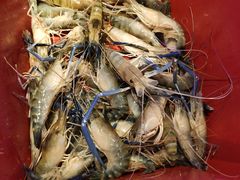 -钳真多钓虾馆·小龙虾海鲜烧烤(九六广场店)