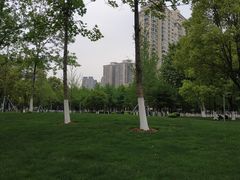 -西北湖绿化广场
