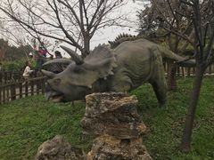 景点-自贡恐龙博物馆