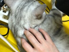 -H立方实景剧情密室(天河旗舰店)