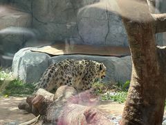 -青藏高原野生动物园