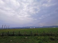 -敕勒川草原