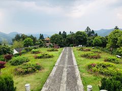 -紫鹊界梯田景区