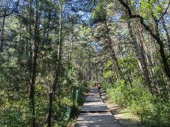 -帽儿山国家森林公园