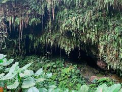 -海口火山口国家地质公园