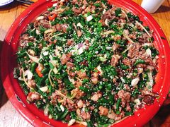 尖椒兔-东吴霸王兔(松青路店)