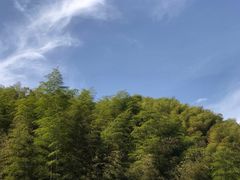 -仙霞关景区