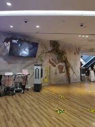 -Zoolung Zoolung动物主题公园(海信广场店)