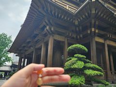 -香积寺