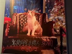 -后院儿·精酿·塔罗Happy Bar