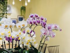 -花二家·生活馆(六运小区店)