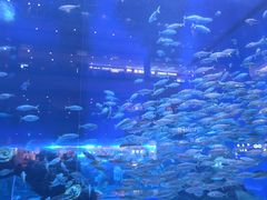 -成都浩海立方海洋公园